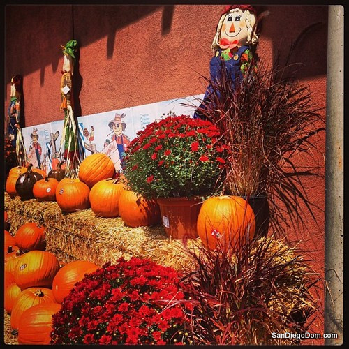 Итоги лета 2013