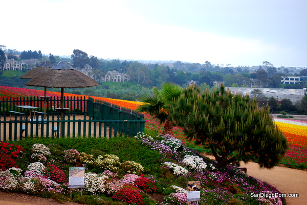 Весна 2014 Сан-Диего